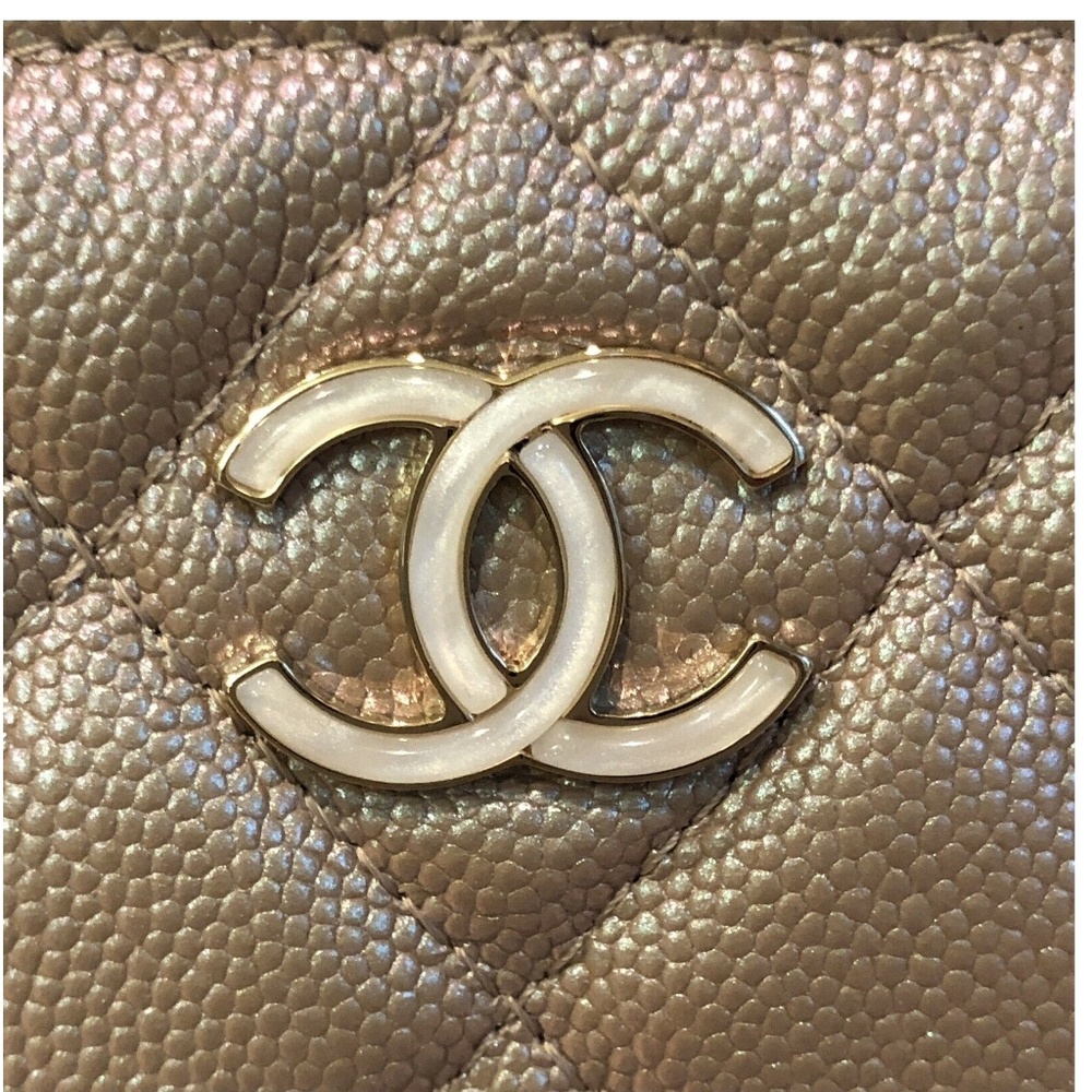 Authentic 19S new Chanel Medium O Case Pouch Pearl - Picture 2 of 8